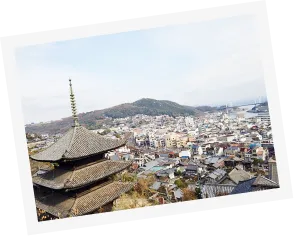 写真:街を見下ろしています。天寧寺 海雲塔や、たくさんの家や、海と山が写っています。